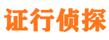 静安市调查公司